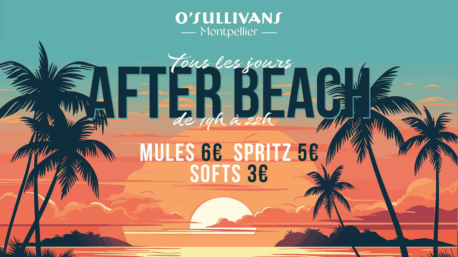 AFTER BEACH OâSullivans Pub Montpellier